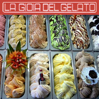 LA GIOIA DEL GELATO
